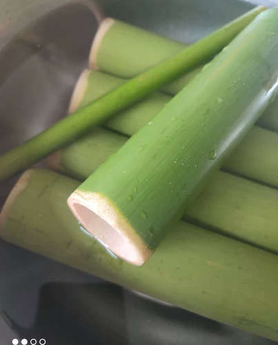 Pure Natural Bamboo -Tube Rice Prymplings плесени артефакты Домохозяйство Коммерческое ночное рынок Специальный свежий бамбук, чтобы сделать бамбуковый клейкий рис с бамбуковой трубкой
