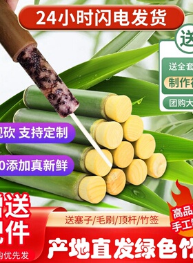 清香竹筒粽子模具家用商用摆摊