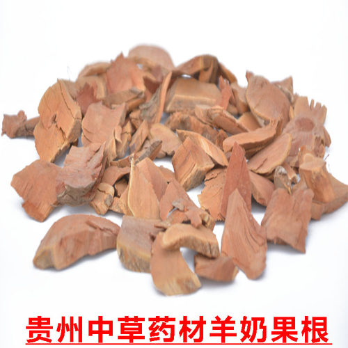 贵州省野生羊山咪树根中草药材羊奶果牛虱子果根奶头根片500g包邮 - 图1