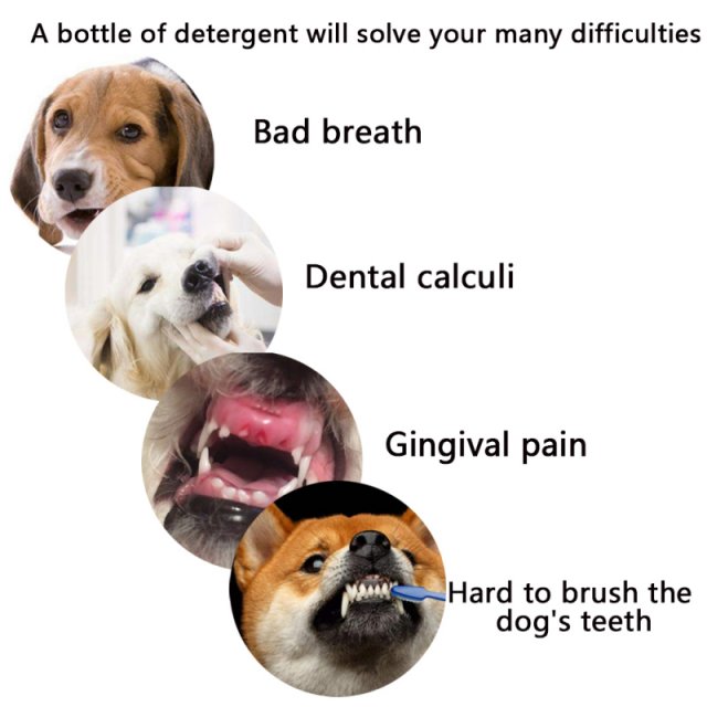 Pet Breath Freshener Spray Dog Teeth Cleaner Dog Cat Oral He - 图3