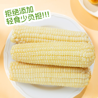 河北新鲜现摘穗康白糯玉米