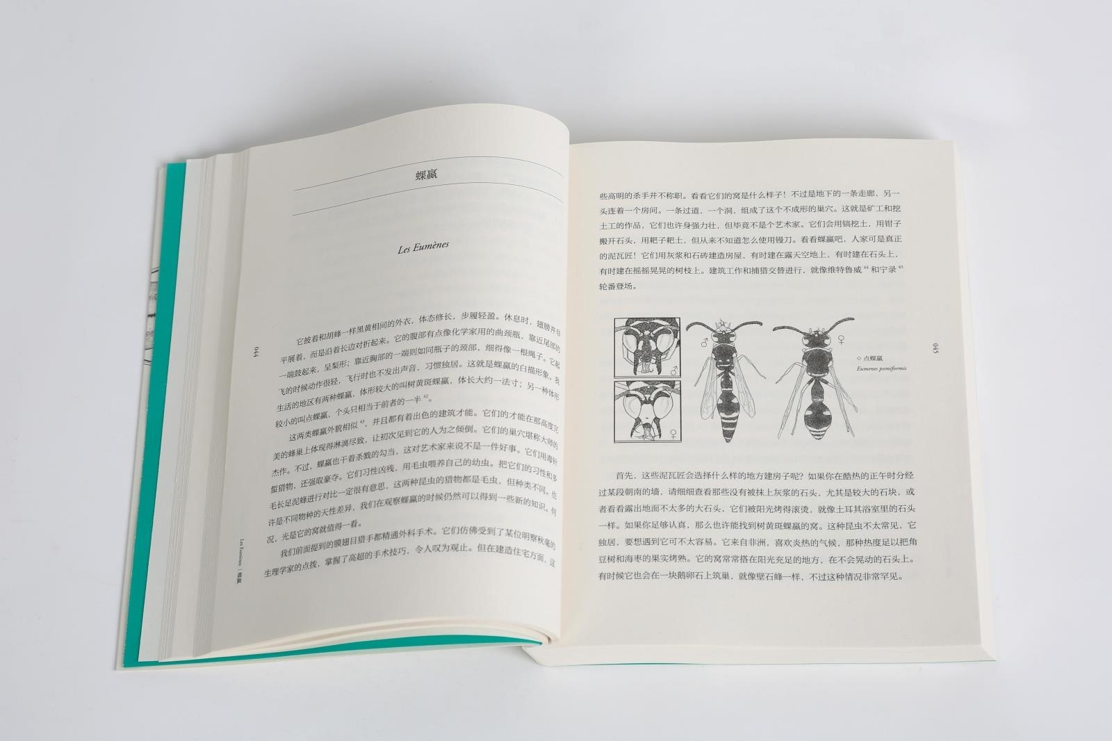 昆虫记 法布 博物杂志 张辰亮  科学松鼠会 引译自法国原版83幅写实插画精准还原细节   初中生统编语文教材配套阅读 - 图3