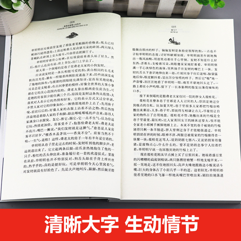 我飞了黄蓓佳倾情小说系列一二三年级6-12岁小学生阅读学校名家经典书目经典校园儿童-图1