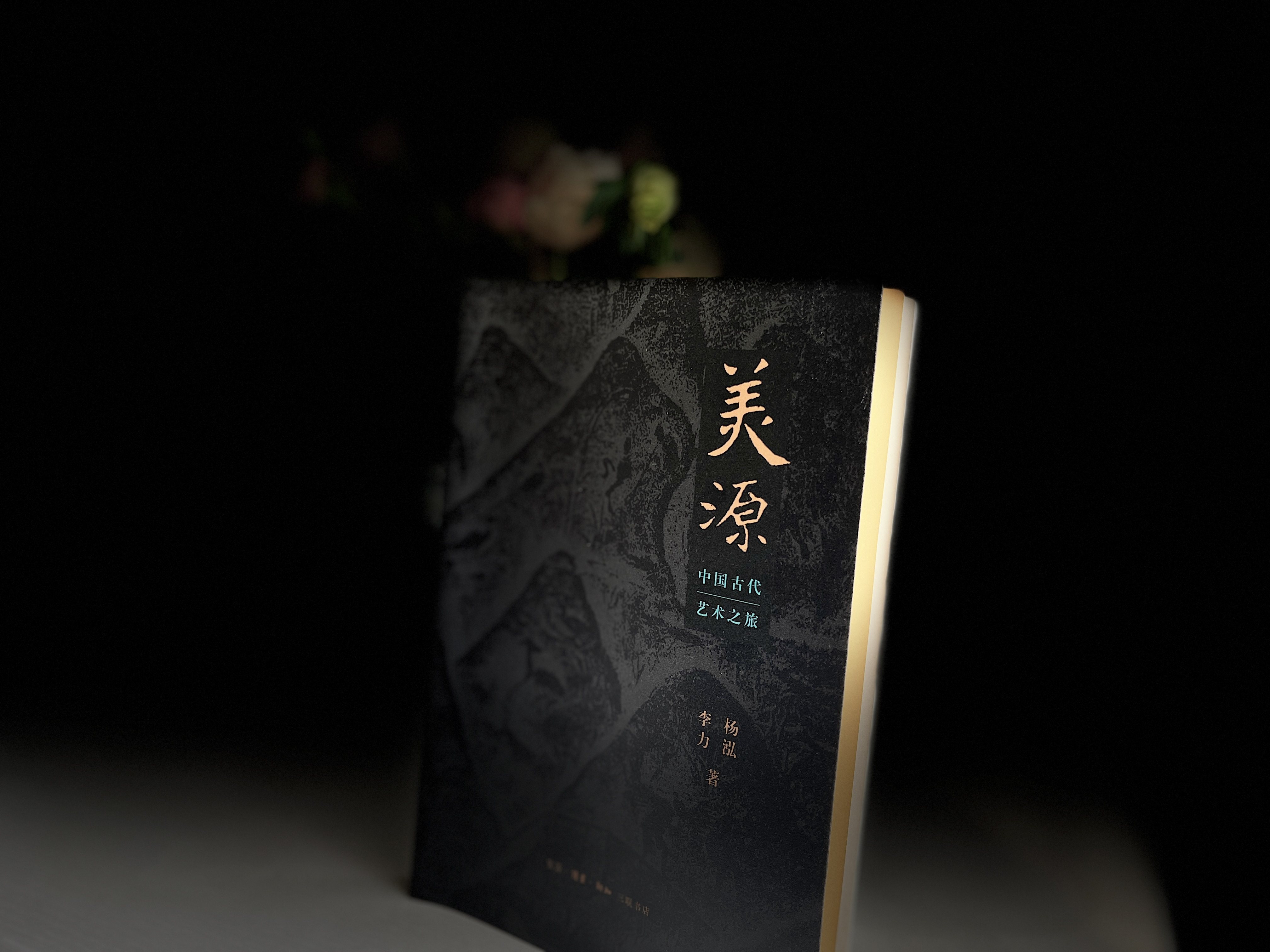 【新书】美源 中国古代艺术之旅 杨泓李力著 力图全面勾画中国艺术 的发展轨迹与读者一起探寻发现中国艺术之美 三联书店,淘宝优惠券,粉丝福利购,淘宝优惠卷