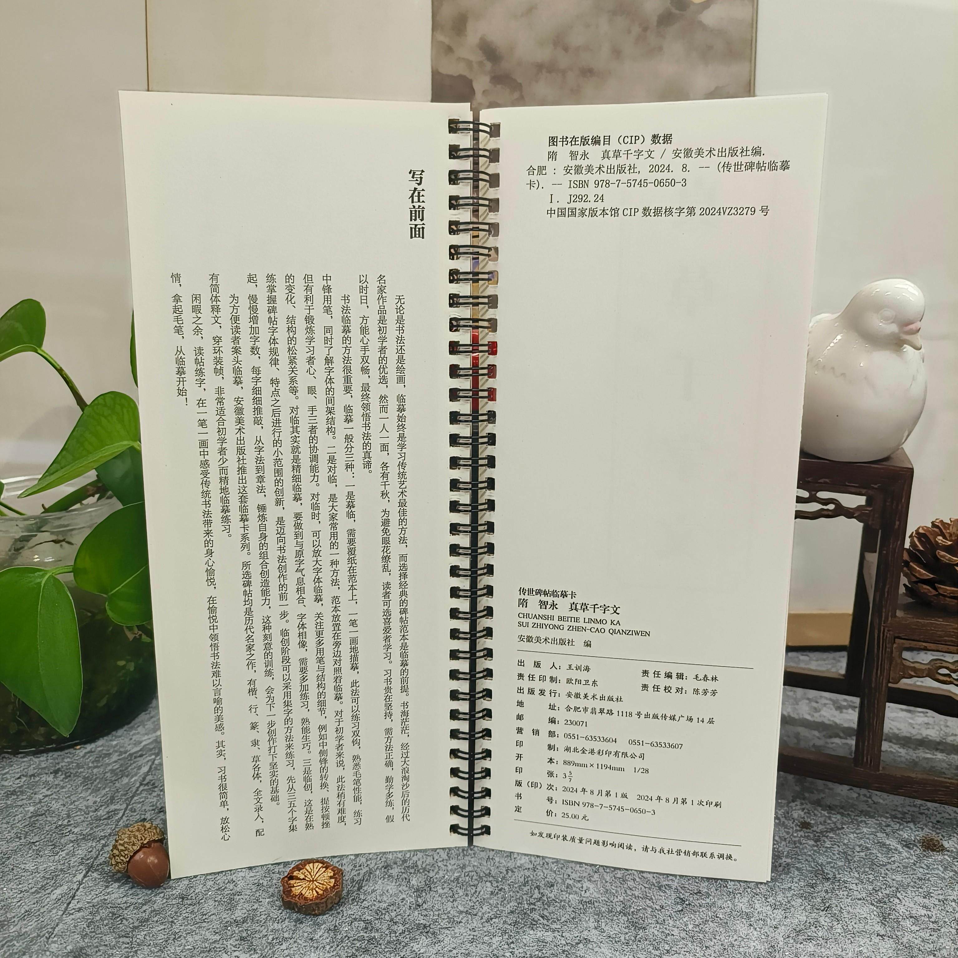 正版】传世碑帖临摹卡 隋 智永 真草千字文简体旁注 楷书草书碑帖书法教材毛笔练字字帖 学生成人临摹临帖练习古帖 安徽美术出版社