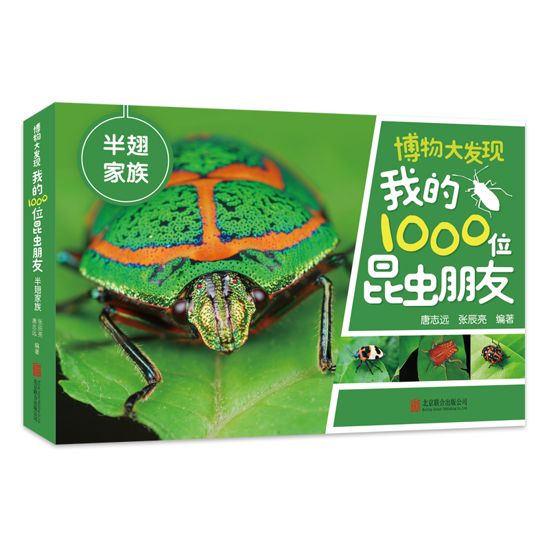 博物大发现：我的1000位昆虫朋友（全5册）5-6-7-8岁幼儿园大班小学生课外读物科普知识书籍 昆虫书籍百科全书 一起去看昆虫朋友 - 图1