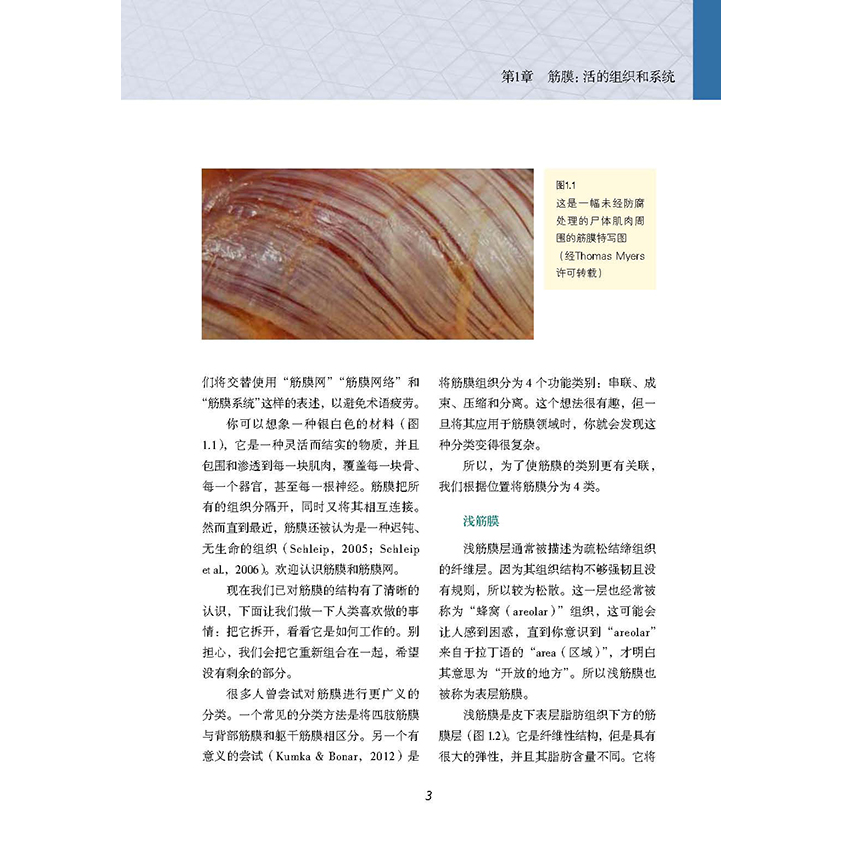 筋膜 它是什么 何以重要 运动康复 筋膜按摩 筋膜释放技术健身训练按摩技巧健身教材教程书 深筋膜徒手松解疗法,淘宝优惠券,粉丝福利购,淘宝优惠卷