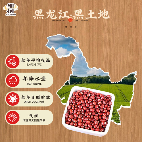 东北红豆500g农家自产红小豆五谷杂粮豆类豆沙新货豆子赤小豆尝鲜 - 图1