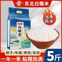 Northeast Wholesale glutinous rice New rice 5 catts of rice dumplings special round glutinous rice baijiangmi brewery with fresh groceries