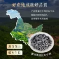 东北黑木耳干货500g新货小碗耳特产正宗黑龙江无根非野生非特级秋 图片 2
