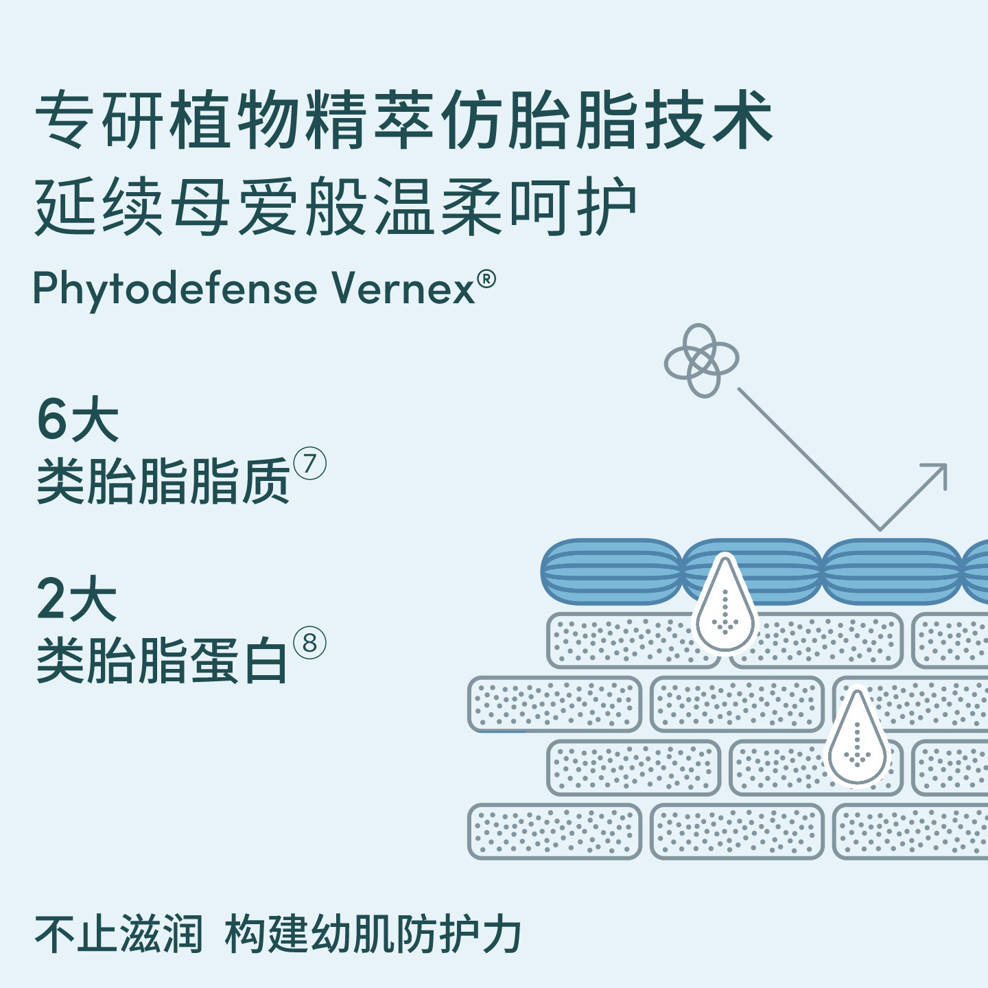 Evereden/安唯伊婴儿面霜儿童面霜胎脂修护保湿面霜老爸抽检50ml