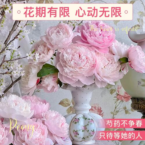 【顺丰】山东芍药鲜花牡丹重瓣花束云南鲜切花玫瑰花卉基地直发花 - 图0
