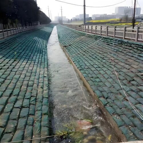 护坡绿色生态袋边坡防护绿化河道防汛环保土工山坡挡土草籽植生袋 - 图0