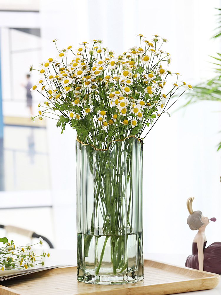 轻奢欧式简约玻璃花瓶透明水养鲜花百合花瓶创意插花花器客厅摆件