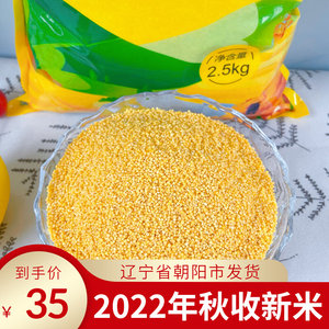 2023年秋收黄金苗K1东北朝阳朱碌科食品月子米黄小米新米粥5斤装