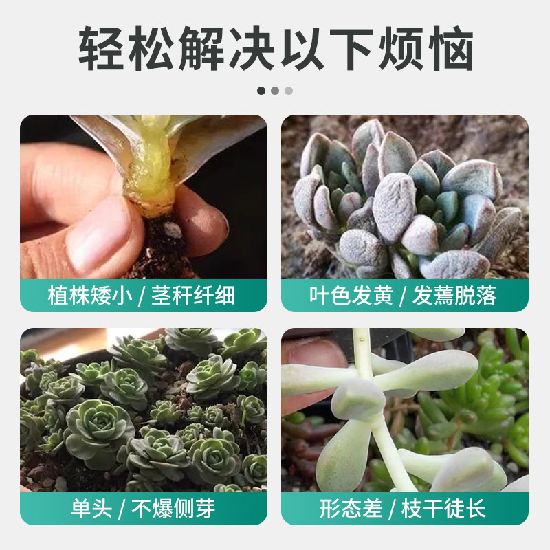 贝可施多肉专用控释肥颗粒缓释花肥料复合肥家用通用型盆栽绿植,淘宝优惠券,粉丝福利购,淘宝优惠卷