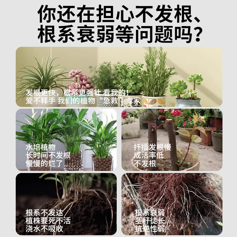 贝可施生根液枯萎烂根灵快速生根多肉扦插营养液高纯爆根粉旗舰店,淘宝优惠券,粉丝福利购,淘宝优惠卷