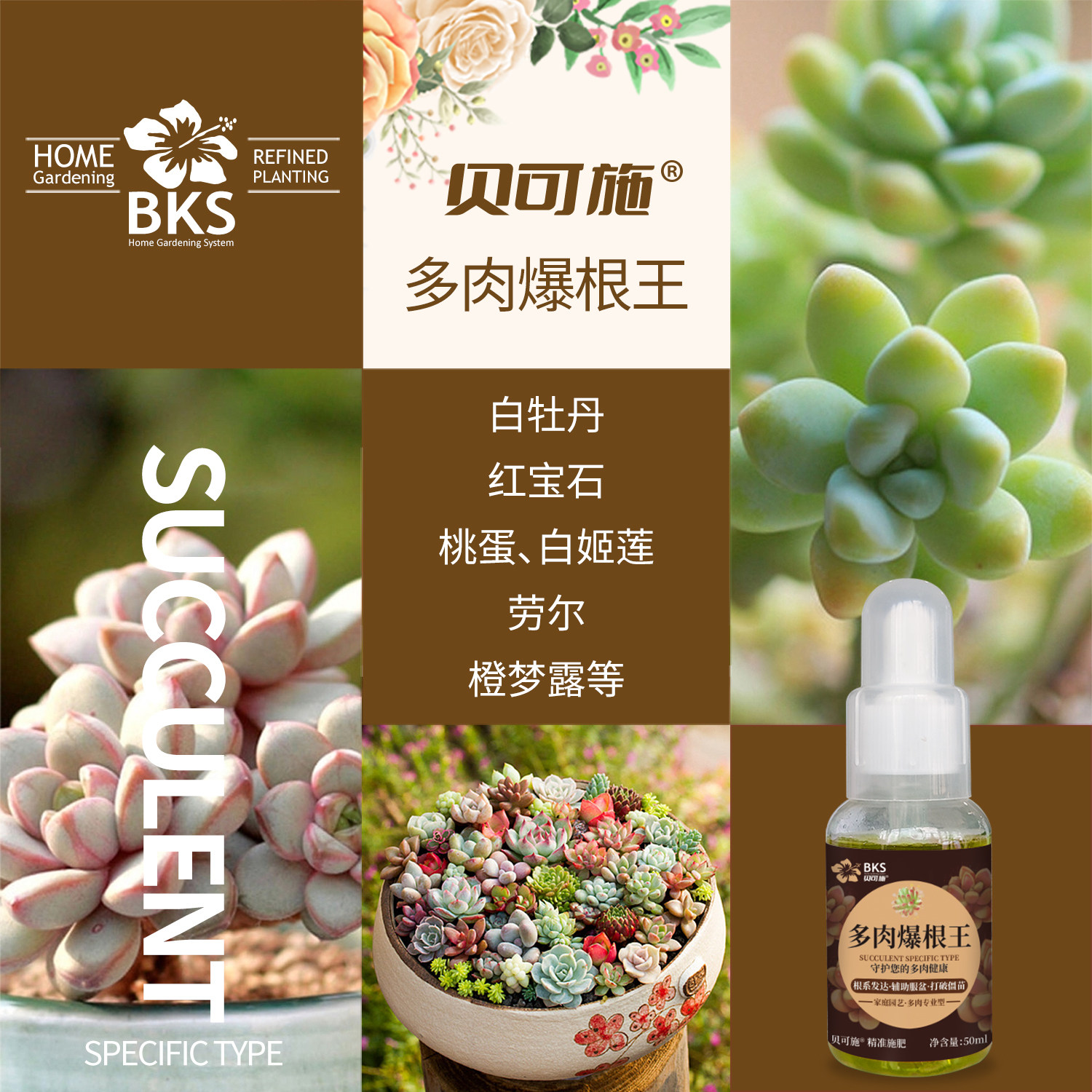 贝可施多肉爆根王多肉专用肥生根爆芽素营养液促根系改善土壤,淘宝优惠券,粉丝福利购,淘宝优惠卷