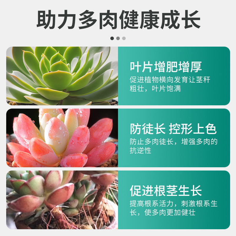 贝可施多肉专用控释肥颗粒缓释花肥料复合肥家用通用型盆栽绿植,淘宝优惠券,粉丝福利购,淘宝优惠卷