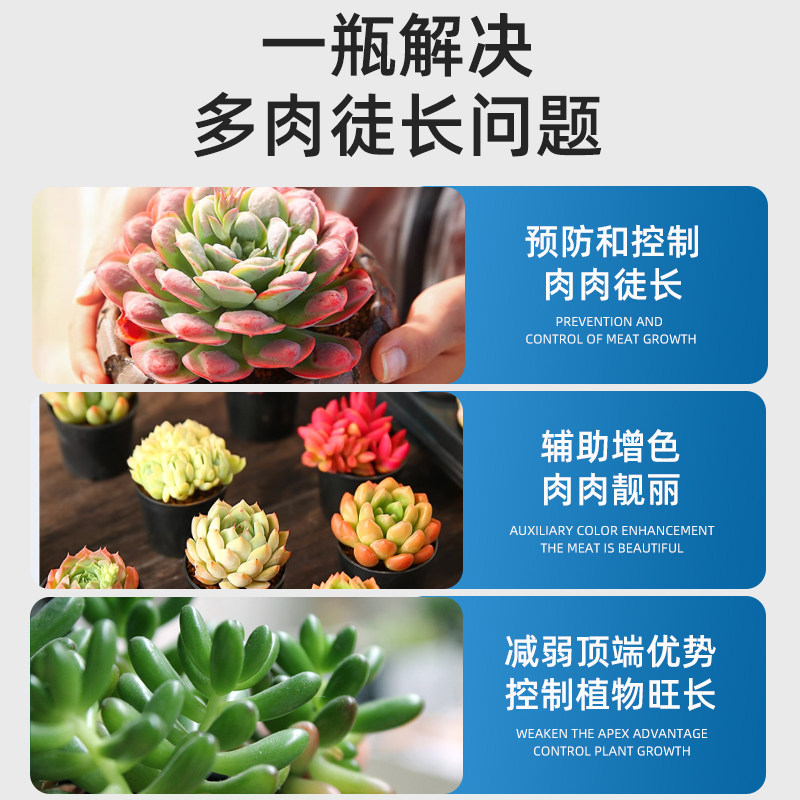 多肉爆芽矮胖素促芽增色植物花卉盆栽家庭园艺通用防徒长营养液,淘宝优惠券,粉丝福利购,淘宝优惠卷