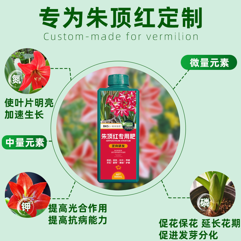 贝可施朱顶红专用营养液肥料催箭延花期防黄叶掉花苞促花催花绿叶,淘宝优惠券,粉丝福利购,淘宝优惠卷