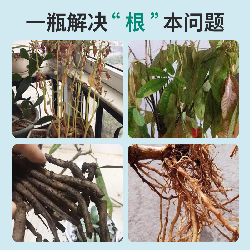 贝可施防腐烂根灵500g/瓶解决根部浇水引起烂根腐立枯根系弱不长,淘宝优惠券,粉丝福利购,淘宝优惠卷