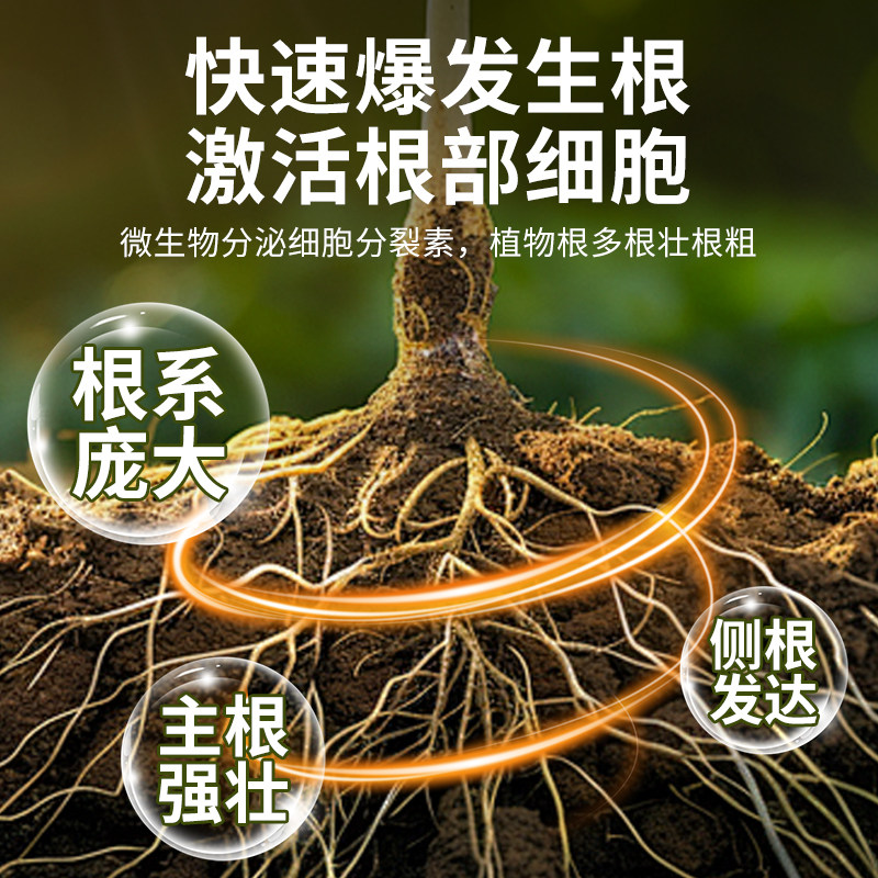 贝可施生根液枯萎烂根灵快速生根多肉扦插营养液高纯爆根粉旗舰店,淘宝优惠券,粉丝福利购,淘宝优惠卷