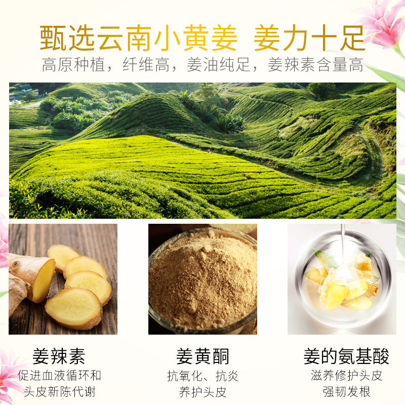 立白清怡生姜去屑止痒控油疗洗发露 清怡洗发水