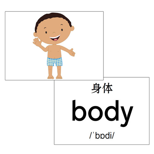 英语汉字拼音卡片身体部位闪卡 幼儿园儿童单词早教认知教师教具 - 图3