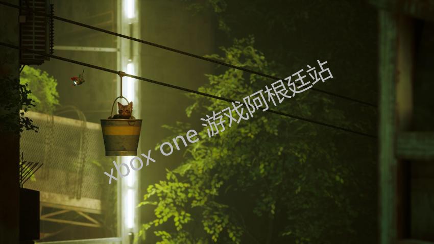 Stray 迷失 Xbox One家庭代付/无兑换码XSX XSS主机Win10/11商店 - 图0