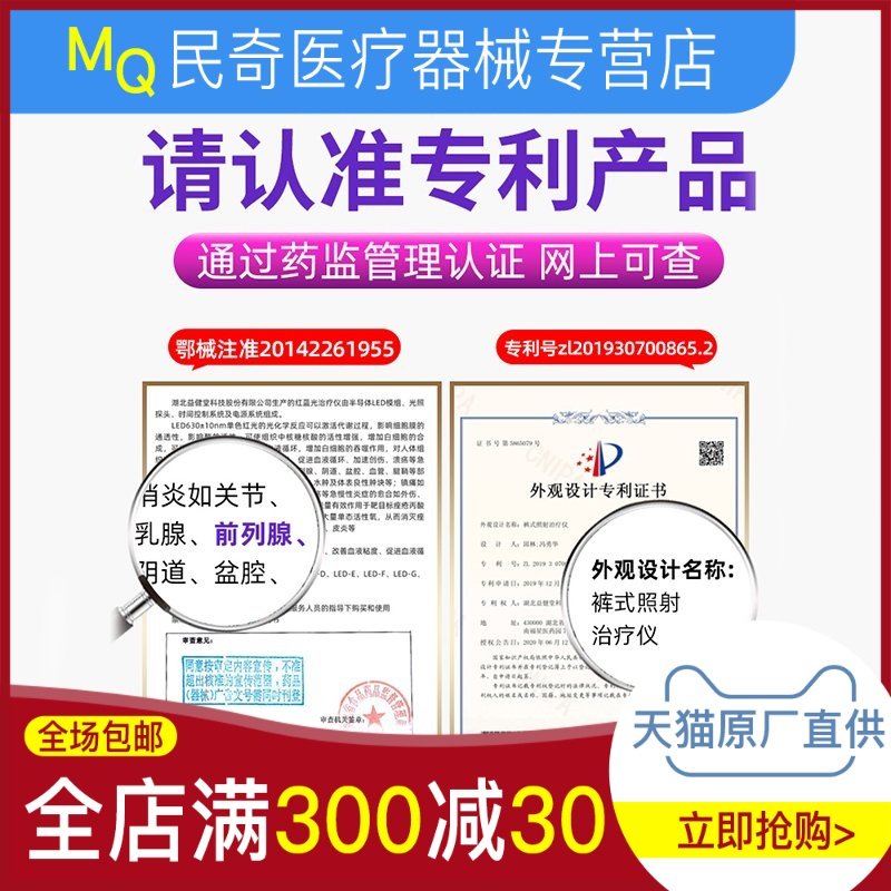  帝趣保健用品理疗仪（器械）