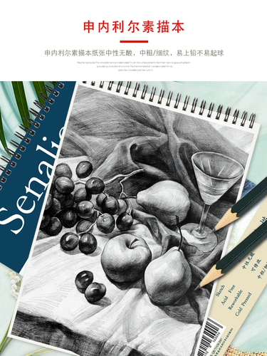 Senalier Sketch Book Scholars 16K Sketch Rawing Книга черная черная рука, картинка, студент, используйте художественную книгу, цвет, ведущий, ведущая закладка