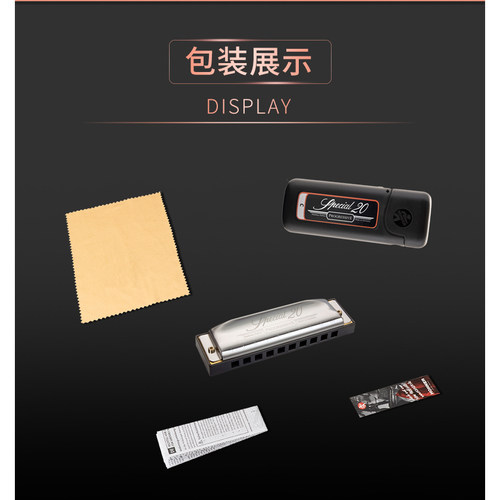 德国HOHNER和来进口SP20布鲁斯10十孔口琴学生初学者Special20 - 图3