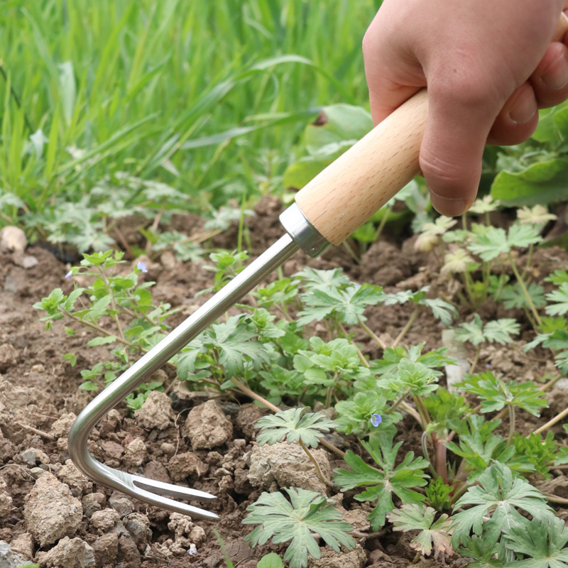 不锈钢除草神器拔草连根手工园艺铲子松土取根起草器挖土挖野菜-图1