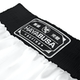 HAYABUSA professional boxing shorts professional boxing