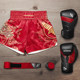 HAYABUSA Falcon Muay Thai shorts professional training for men and women