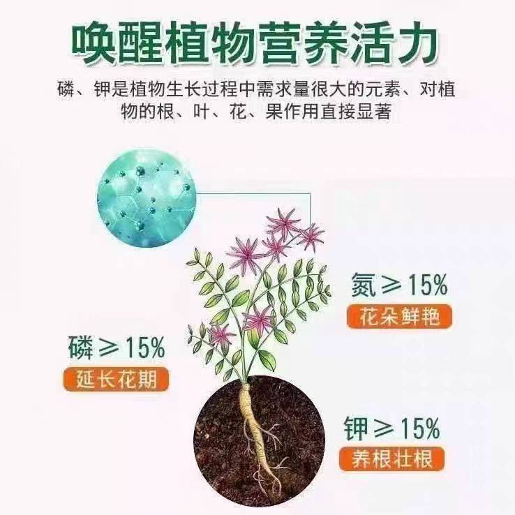 挪威进口复合肥蔬菜农用种菜水溶性复合肥肥料100斤复合肥正品,淘宝优惠券,粉丝福利购,淘宝优惠卷
