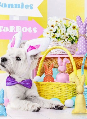 节日毛绒针织波点格子兔子托盘摆件节日派对装饰品道具