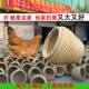 Coop ໄກ່ lays ໄຂ່ ສໍາ ລັບ hens ພາຍ ໃນ ປະ ເທດ ແລະ ເປັດ