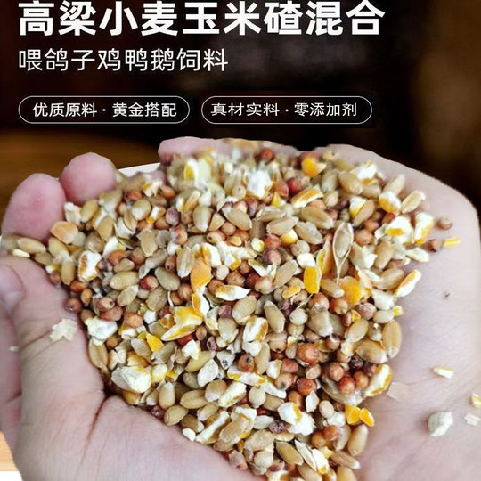 Mixed with sorghum, wheat, corn and crushed chicken residue