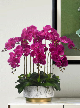 图迈蝴蝶兰仿真花高端手感花艺