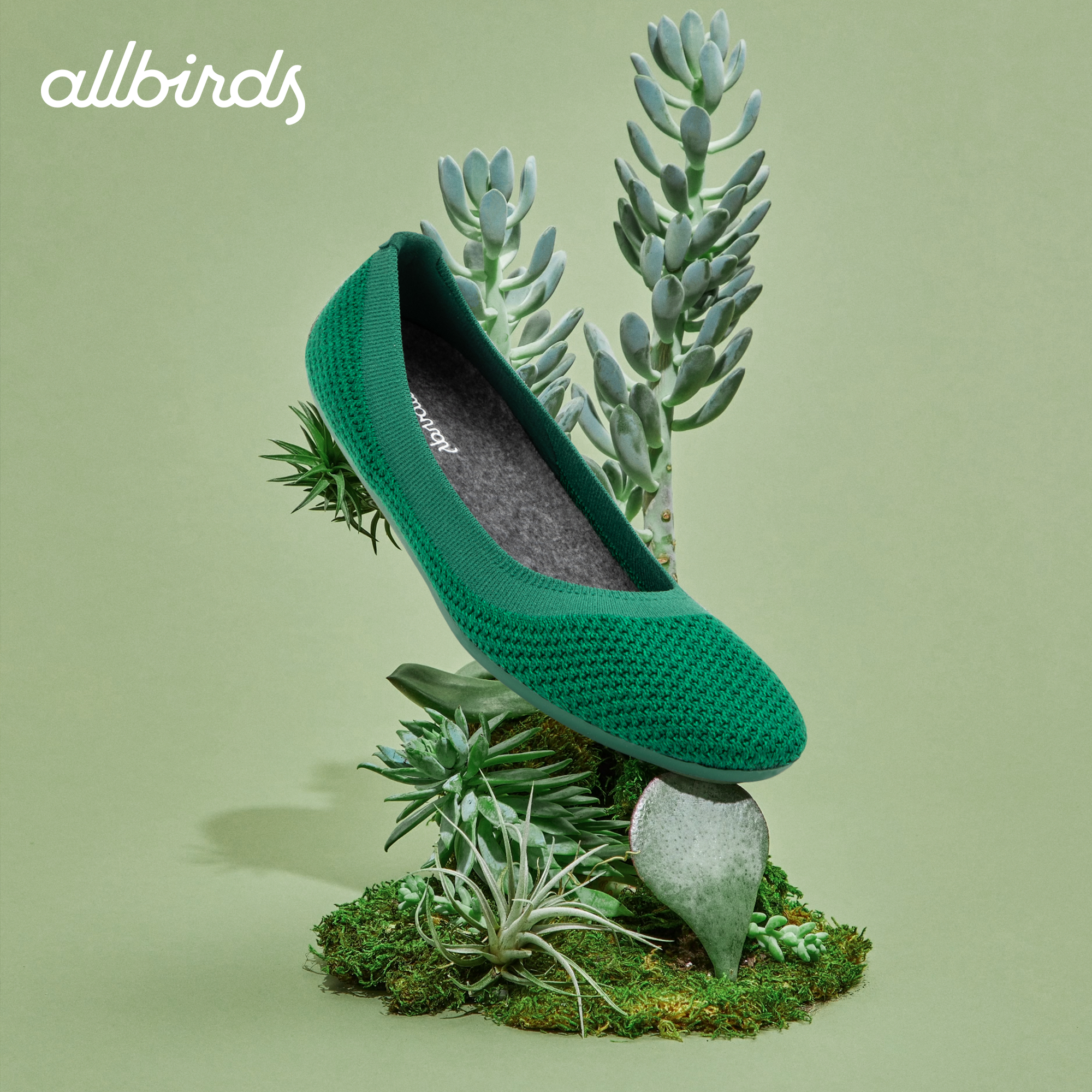 Allbirds芭蕾鞋Tree Breezer平底女鞋新休闲舒适通勤松弛平底女鞋,淘宝优惠券,粉丝福利购,淘宝优惠卷