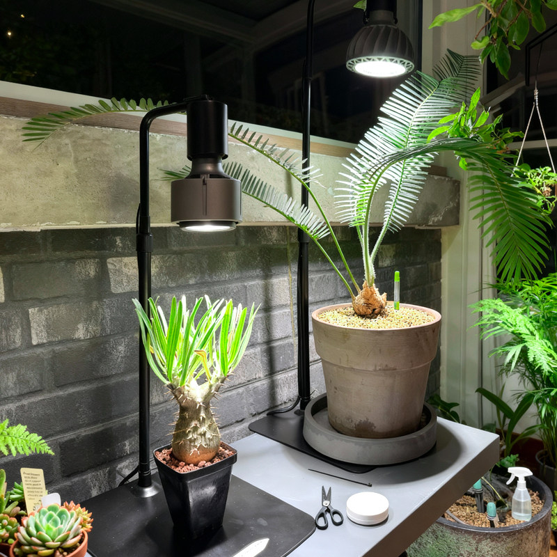 光联天下桌面植物生长灯小型盆栽微景观龙舌兰块根仙人球补光台灯,淘宝优惠券,粉丝福利购,淘宝优惠卷