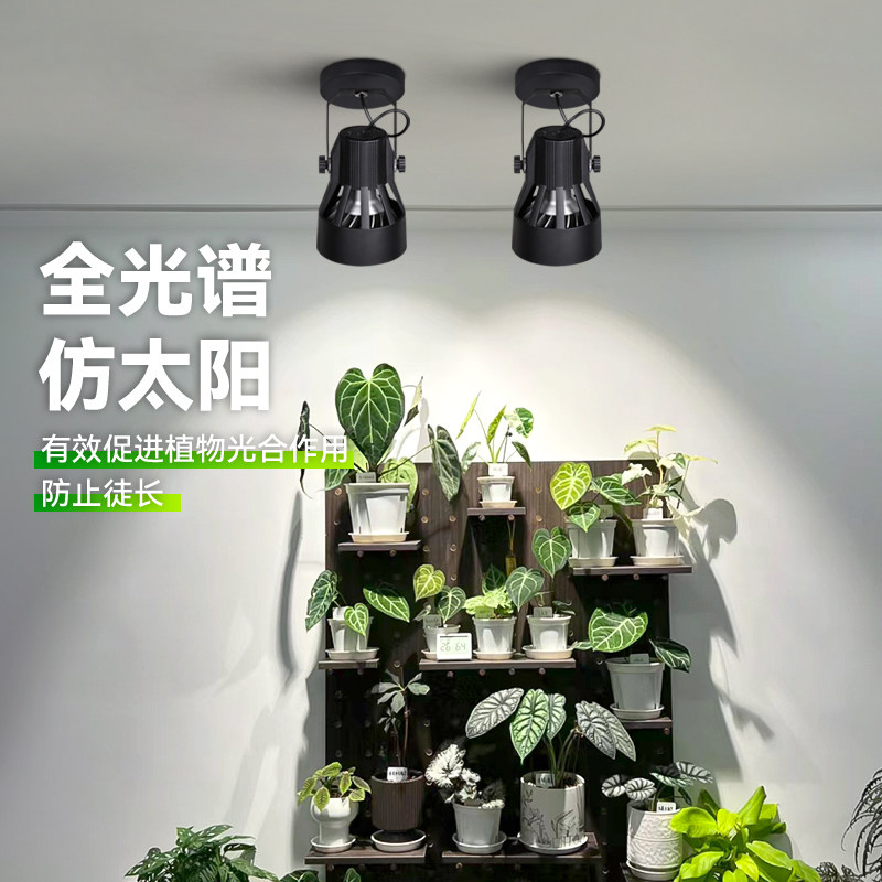 光联天下全光谱植物补光灯室内客厅阳台热植盆景绿植生长灯吸顶款,淘宝优惠券,粉丝福利购,淘宝优惠卷