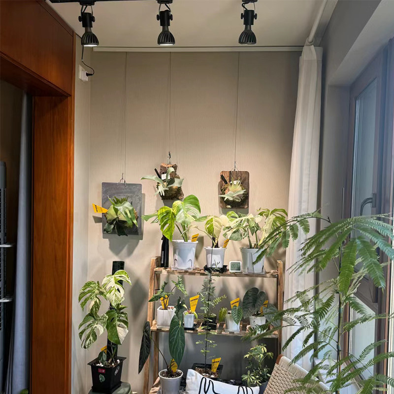 led全光谱植物补光灯室内家用绿植盆栽花卉热植生长灯鱼缸爆藻灯,淘宝优惠券,粉丝福利购,淘宝优惠卷