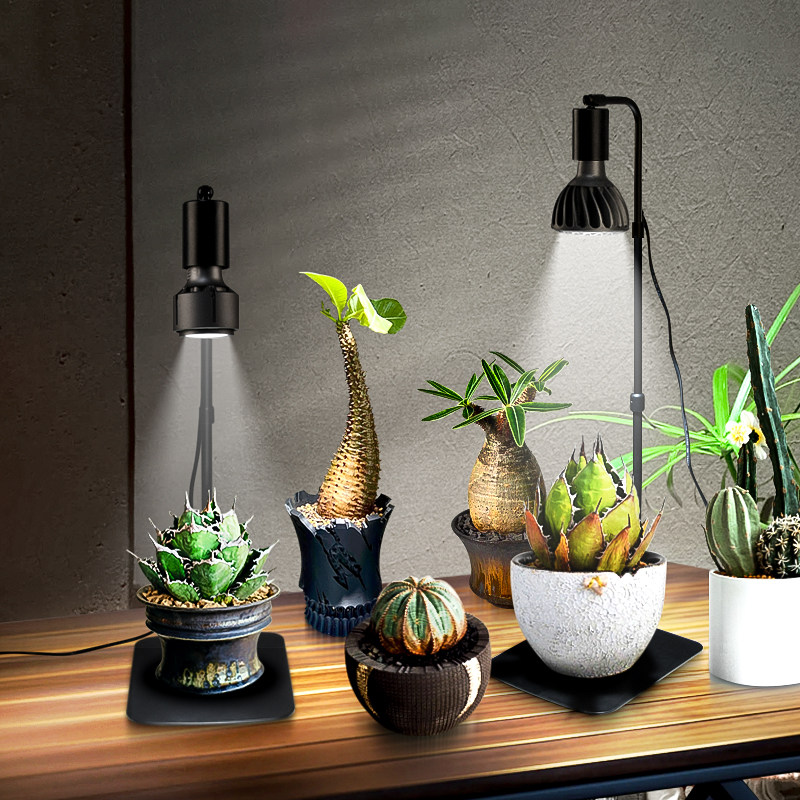 光联天下桌面植物生长灯小型盆栽微景观龙舌兰块根仙人球补光台灯,淘宝优惠券,粉丝福利购,淘宝优惠卷