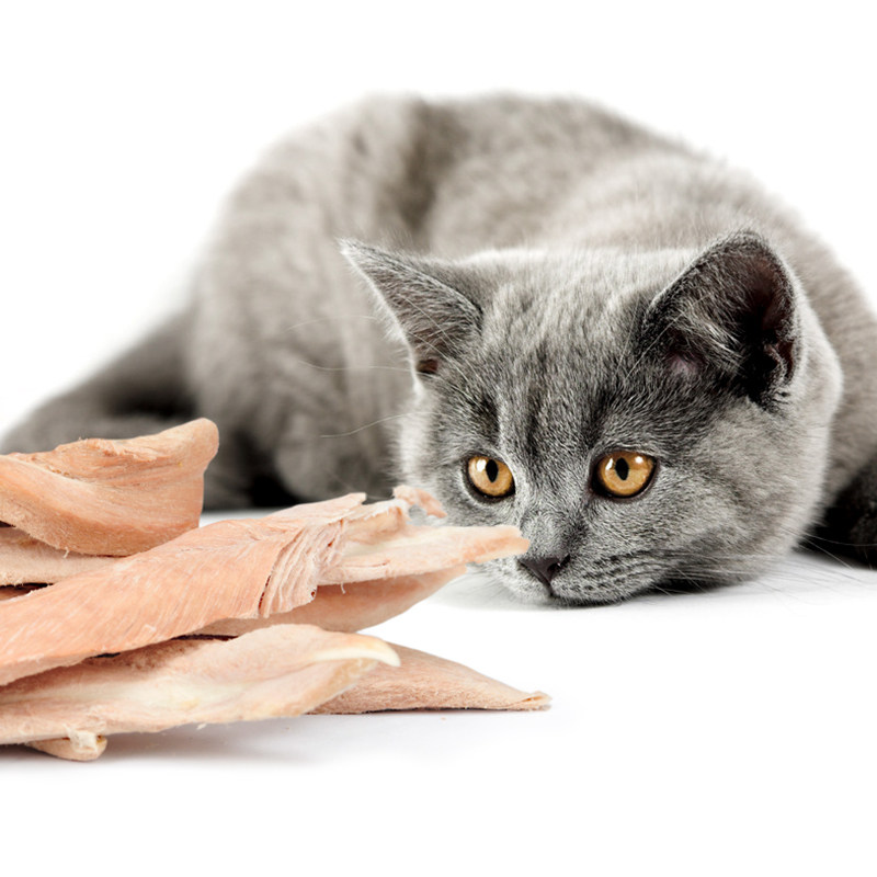 冻干鸭小胸猫零食幼成猫咪营养美味狗狗猫粮训宠物奖励肉干,淘宝优惠券,粉丝福利购,淘宝优惠卷