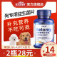 Probiotics Gastrointestinal Bellemie Dogs