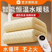 2023 new water heating blanket electric blanket home double single water cycle electric bedding double control official winter warmth