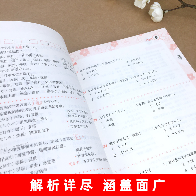 日语N2红蓝宝书1000题 新日本语能力考试N2文字词汇文法 练习+详解 日语n2真题模拟可搭红宝书蓝宝书新标准日本语二级考试N2 - 图2